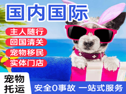 烟台航空物流国际宠物托运 【国